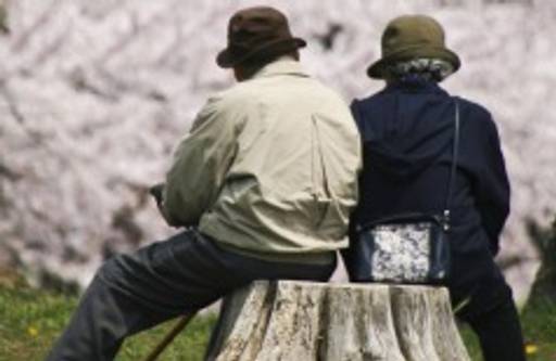 Japan's ageing consumers