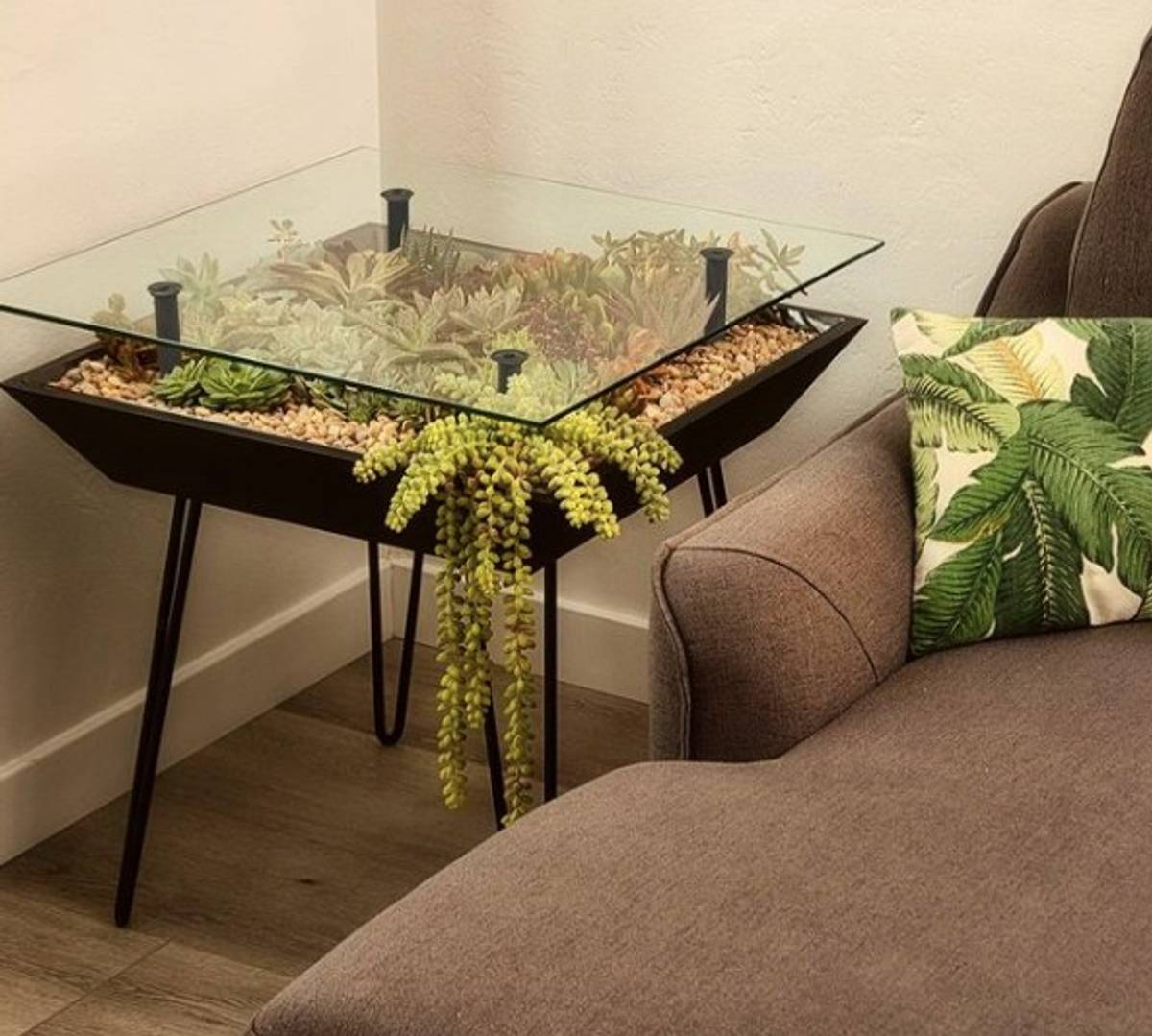People are rewilding at home with 'living' furniture