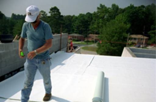 White roof