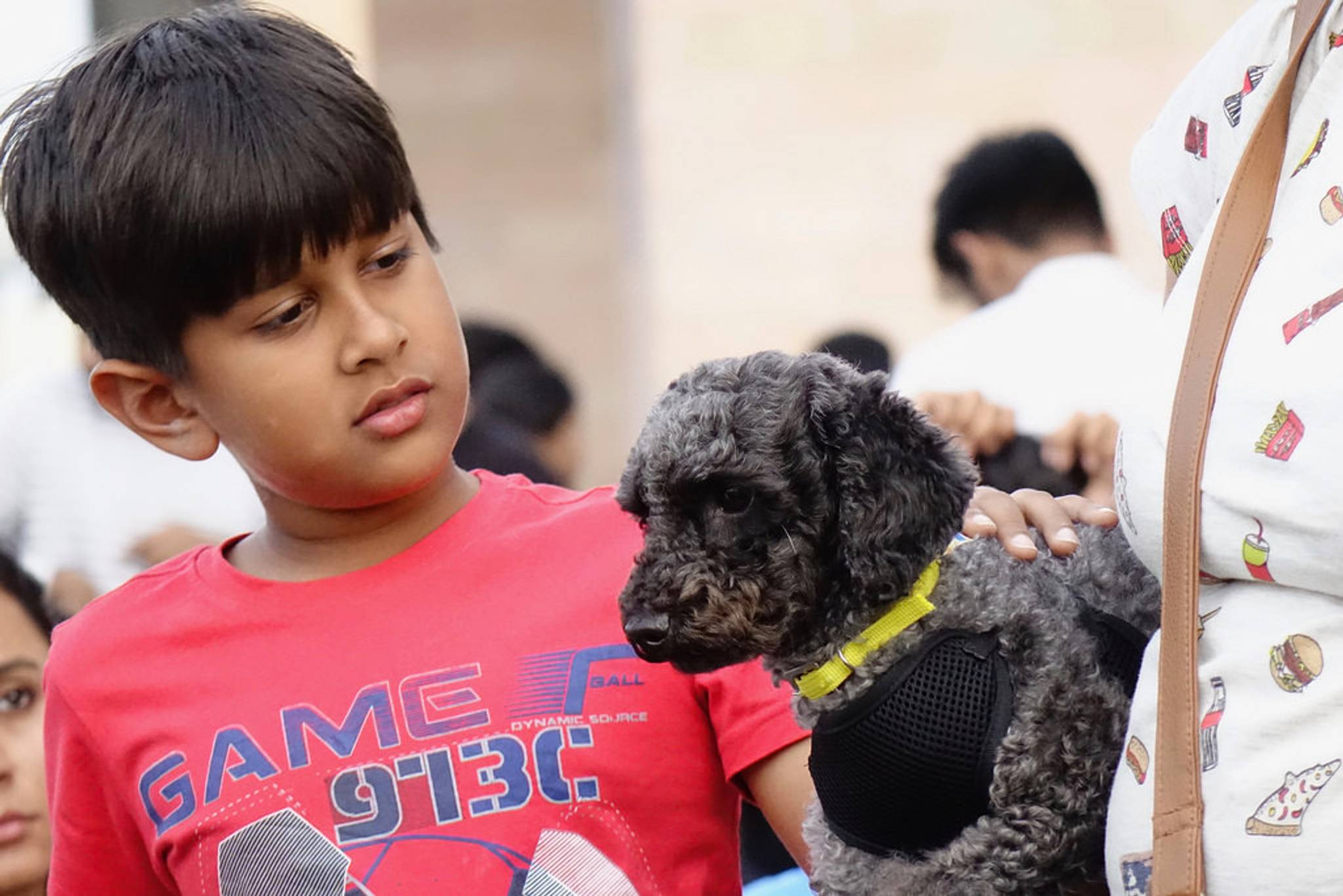 Supercoat is a premium dog food for Indian pet parents