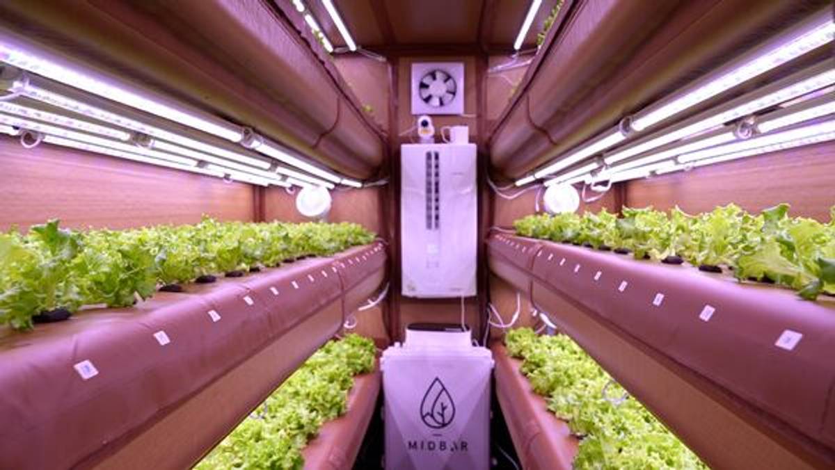 AirFarm offers sustainable aeroponic farming solutions