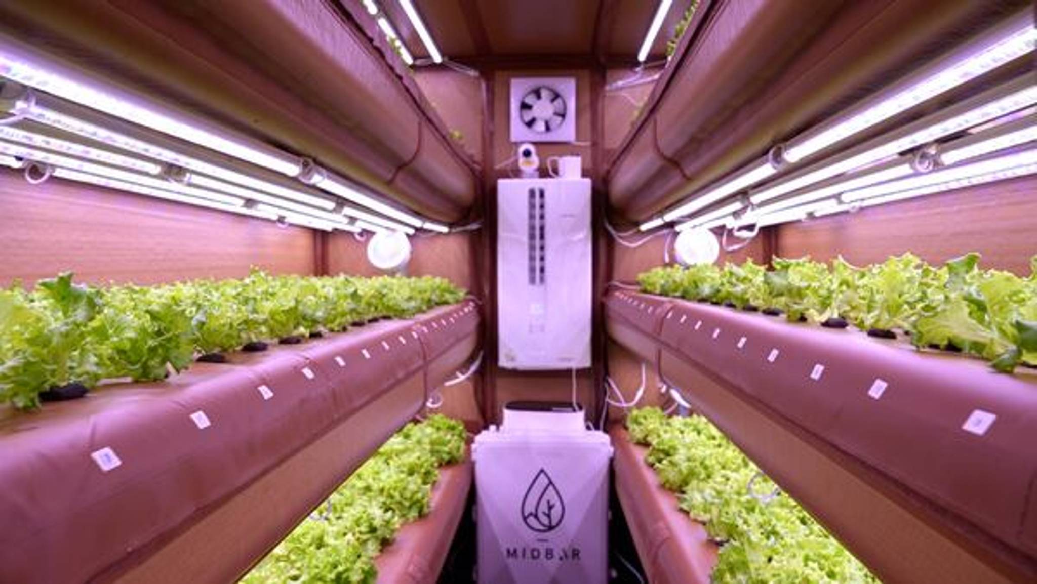 AirFarm offers sustainable aeroponic farming solutions