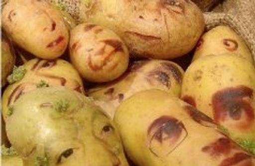 Potato portraits