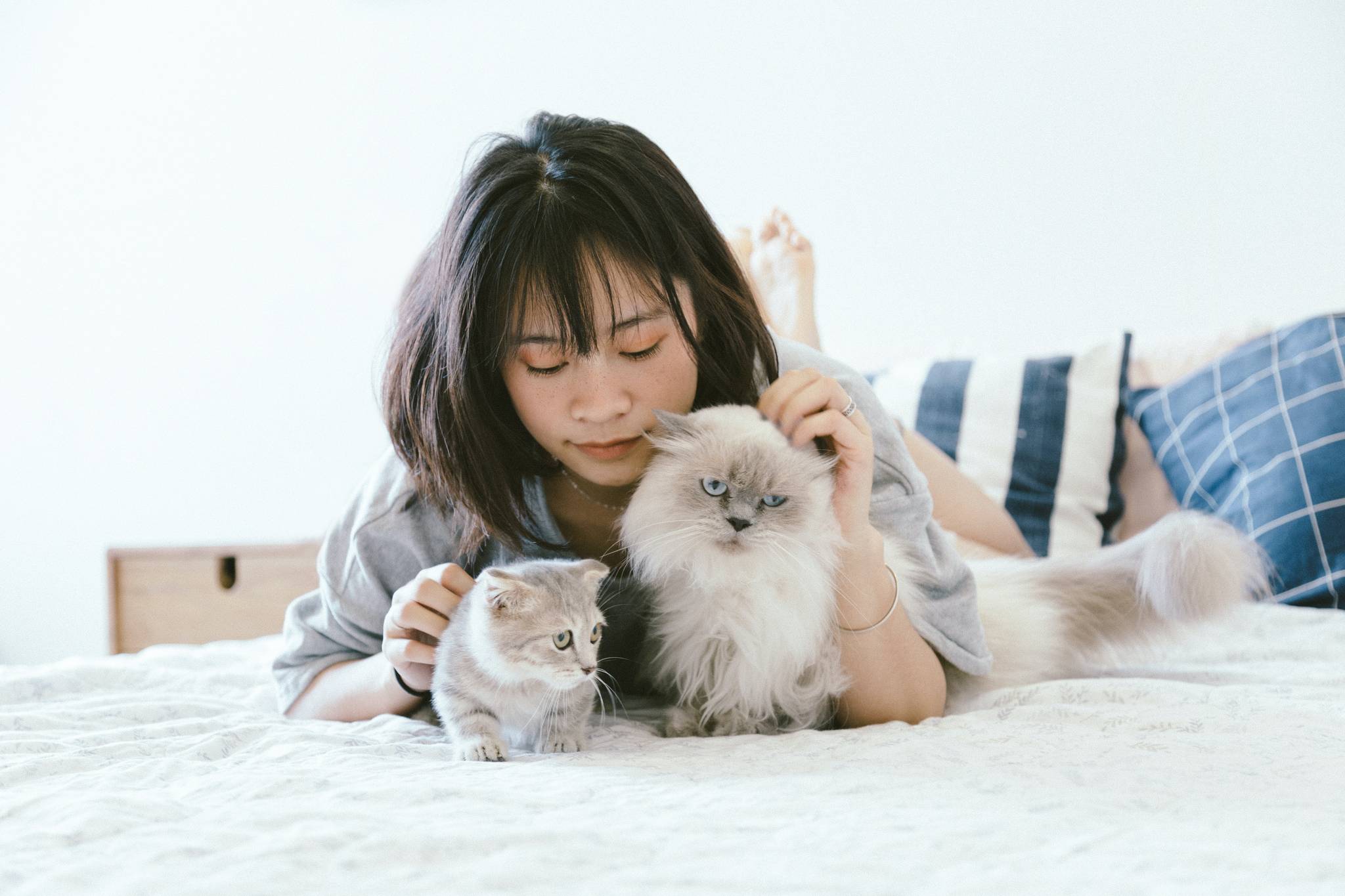 American Gen Zers see their pets as family members