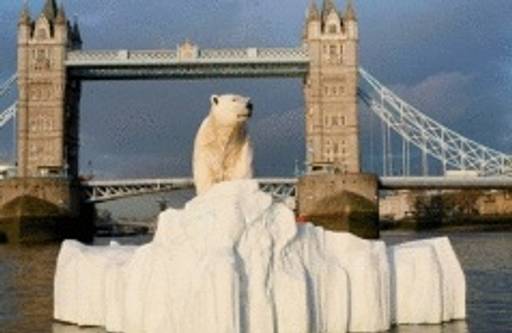 Polar Bears Floating Down the Thames
