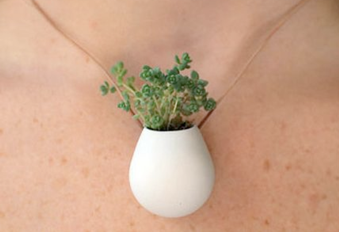 Plant jewellery