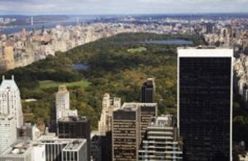 Musical journey in Central Park