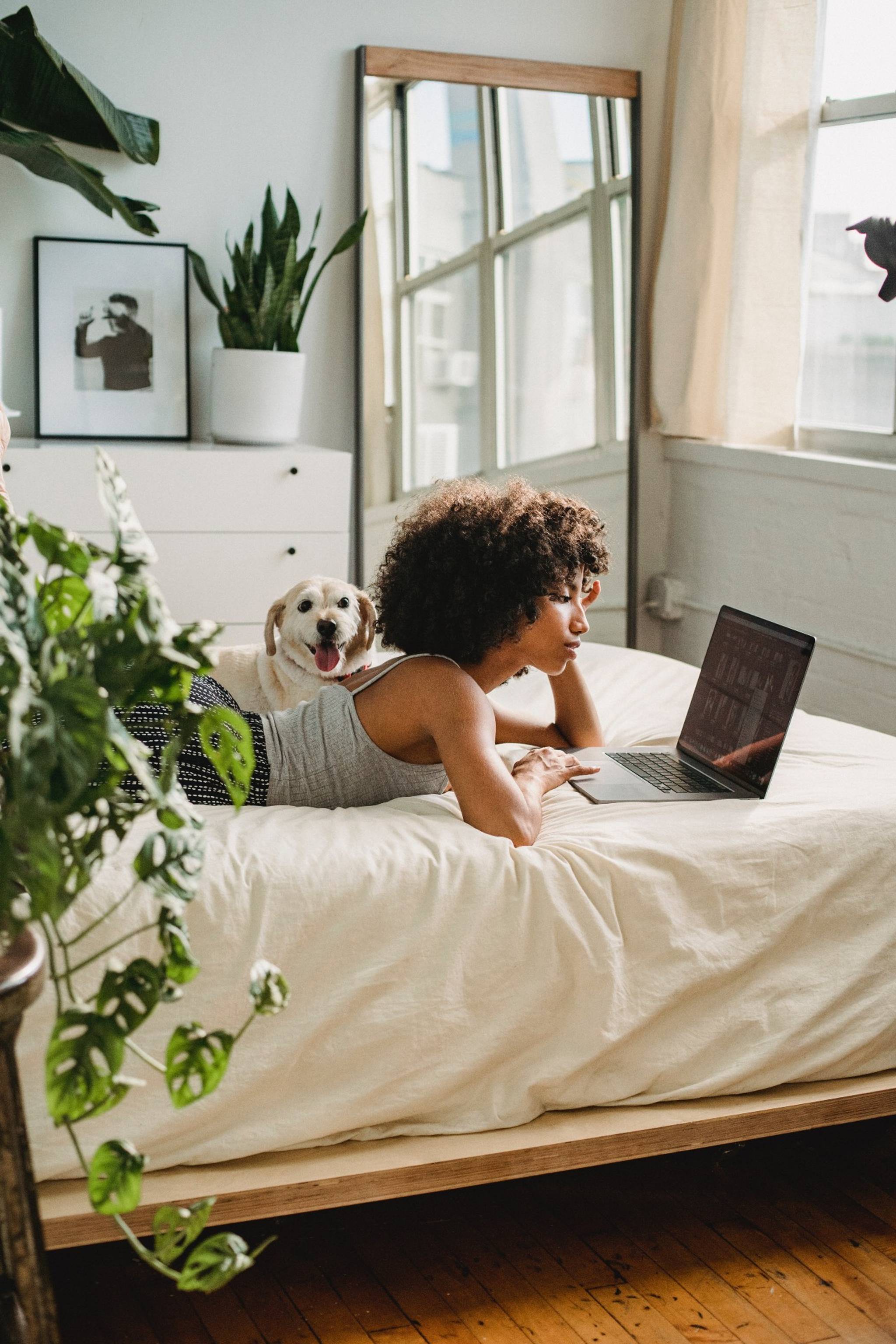 Pet-tech booms as remote workers return to the office