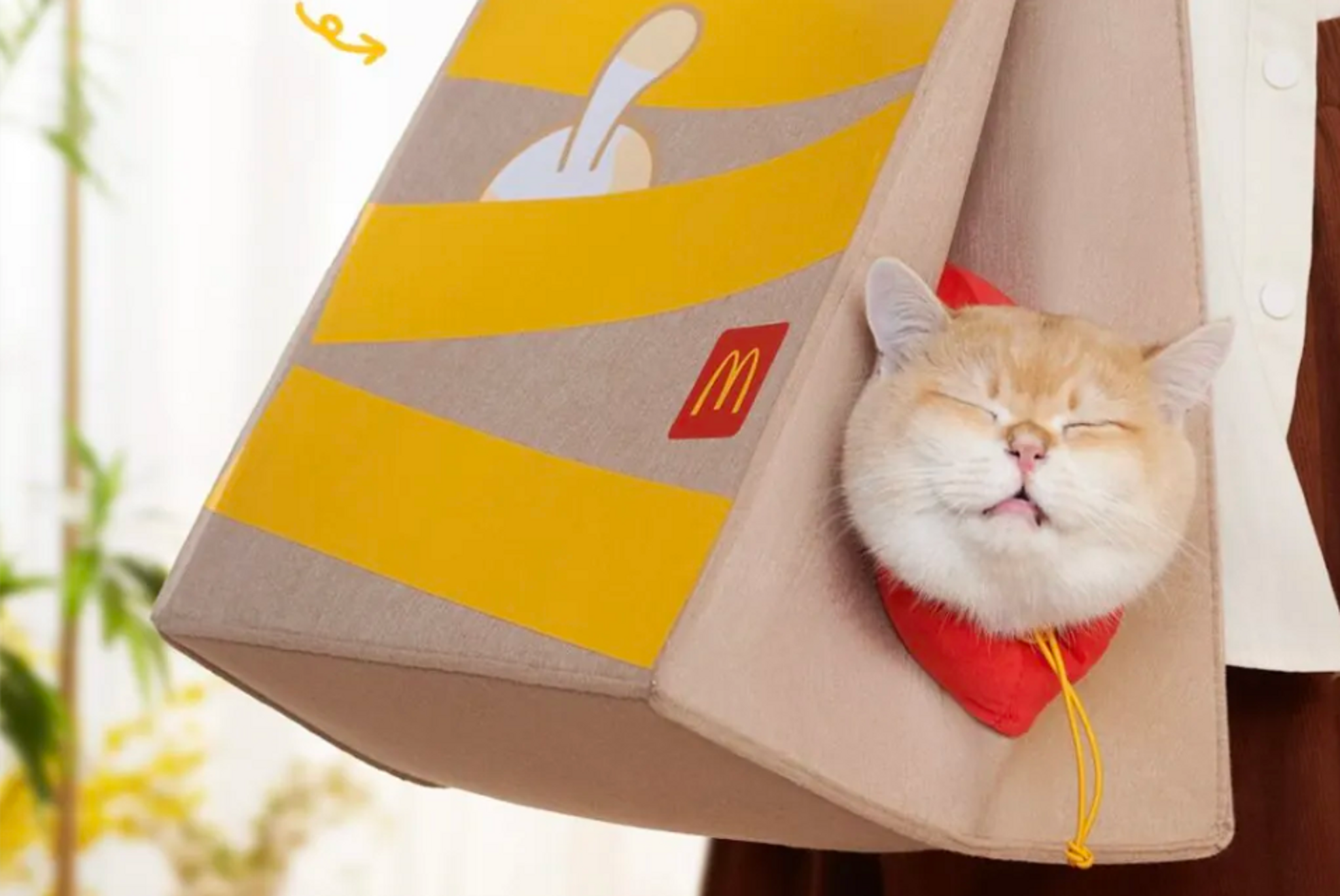 McDonald's adapts delivery bags into portable cat beds