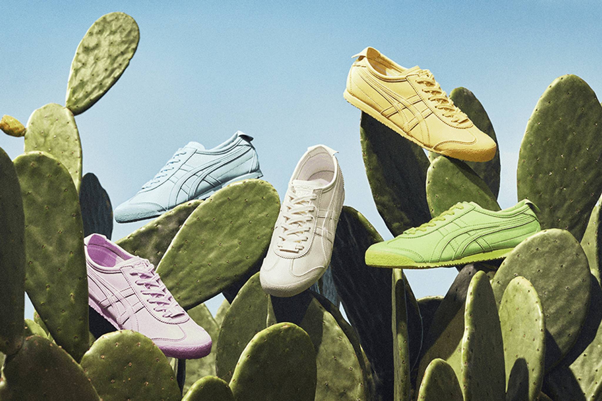 Are sneakerheads looking for sustainability? 