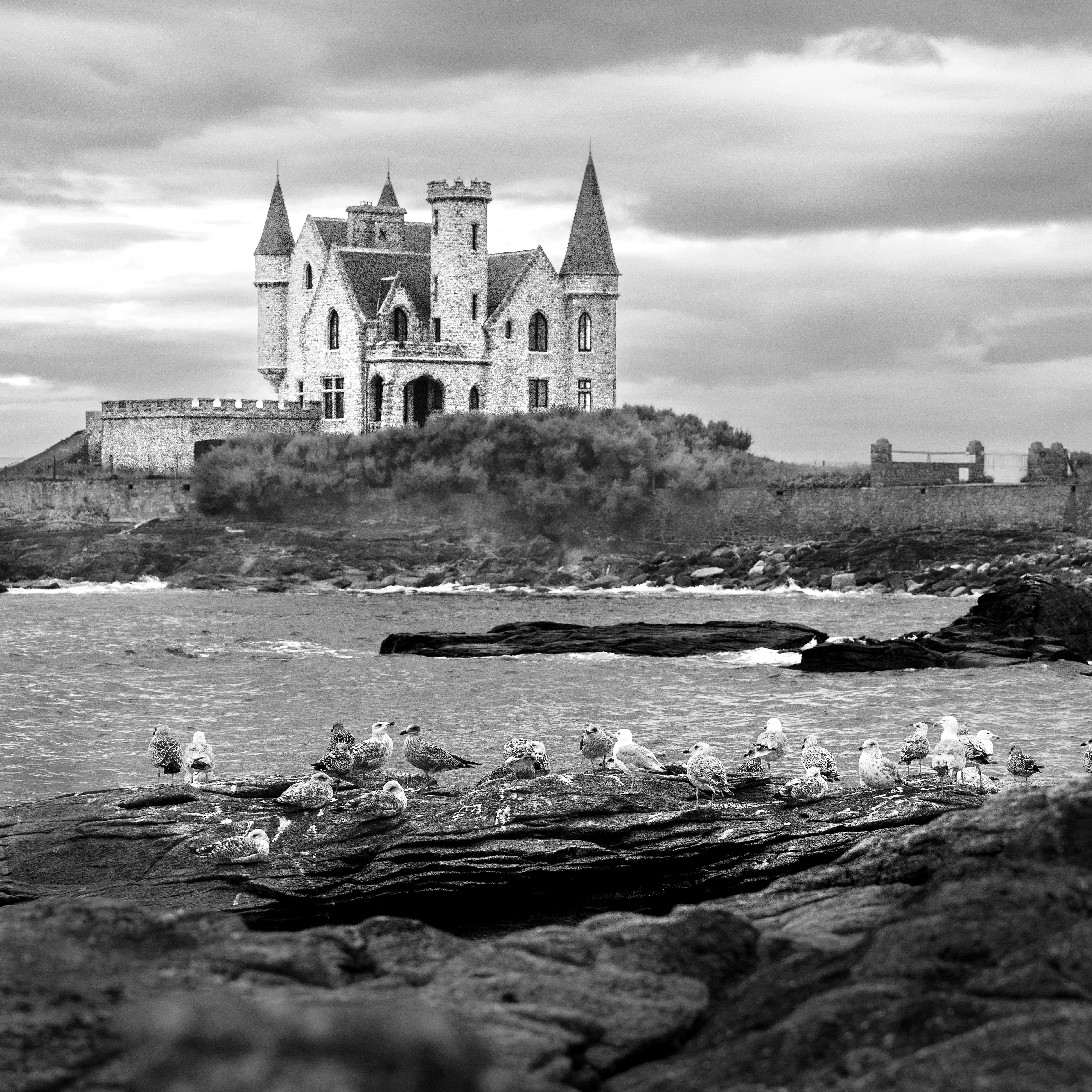Black-and-white view of Château de Turpault in Quiberon, with gulls perched on rocks in the foreground and a stormy sky overhead.