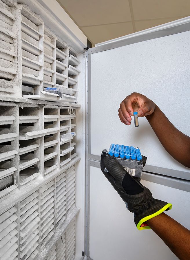 Gloved hand retrieving a frozen biosample vial from a biobank freezer