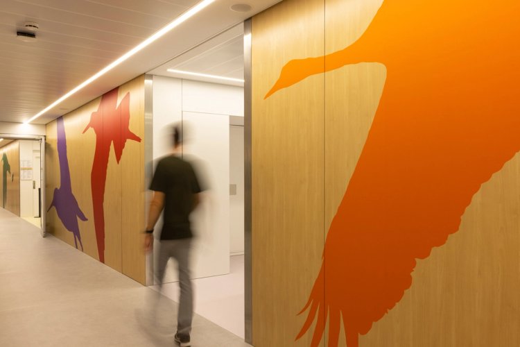 Nou Hospital Pediatria - E.2-4