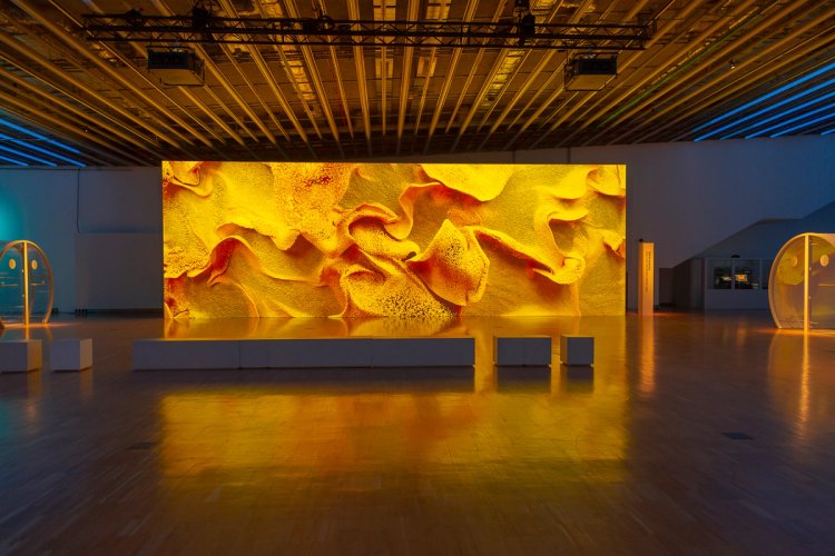 DIGITAL_IMPACT_OBRA_72dpi_026