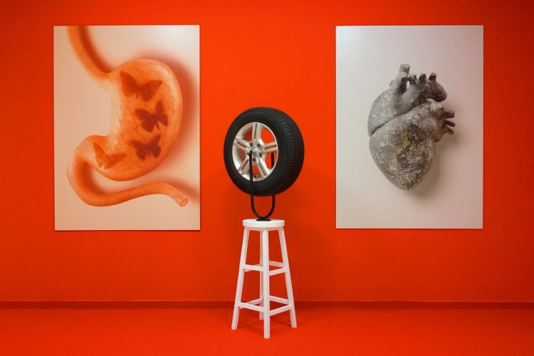 Javier Jaén. Primer Asalto 