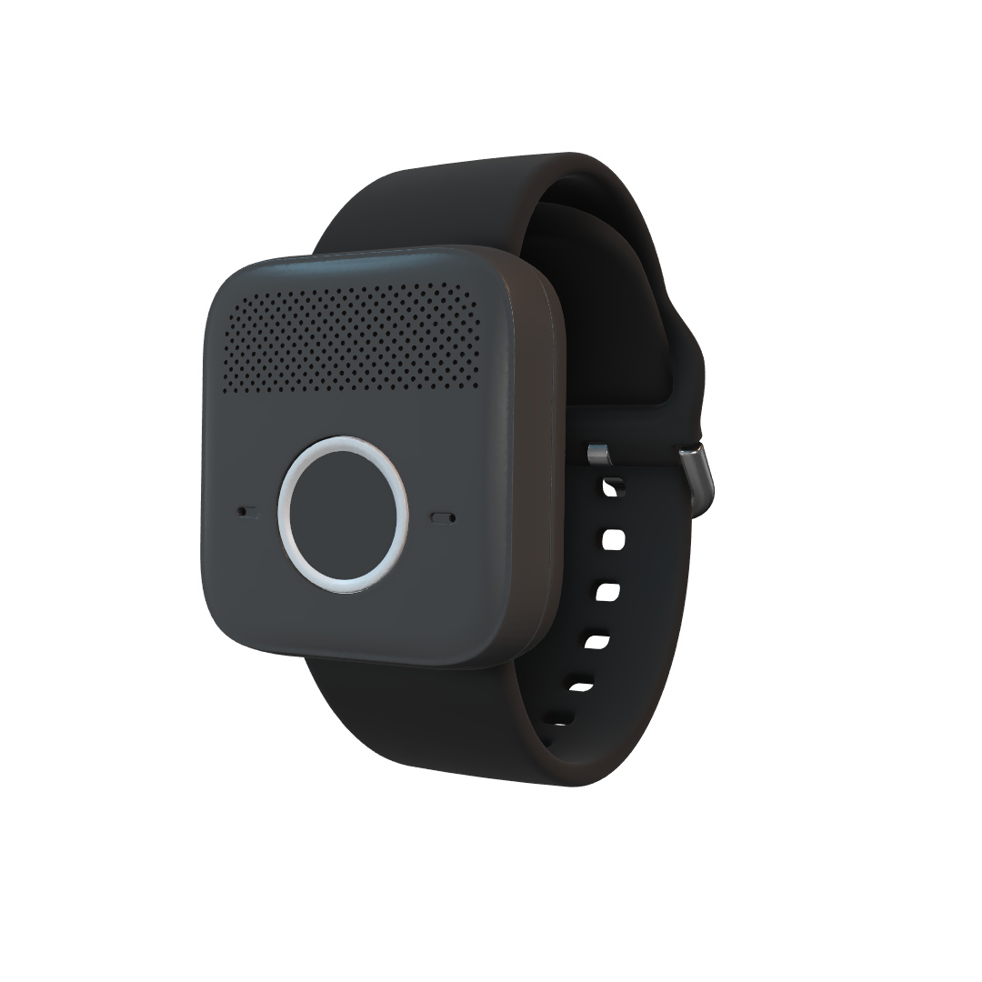 Holo Mini Standard Strap
