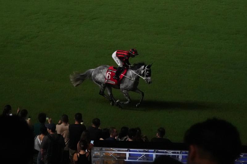 horse