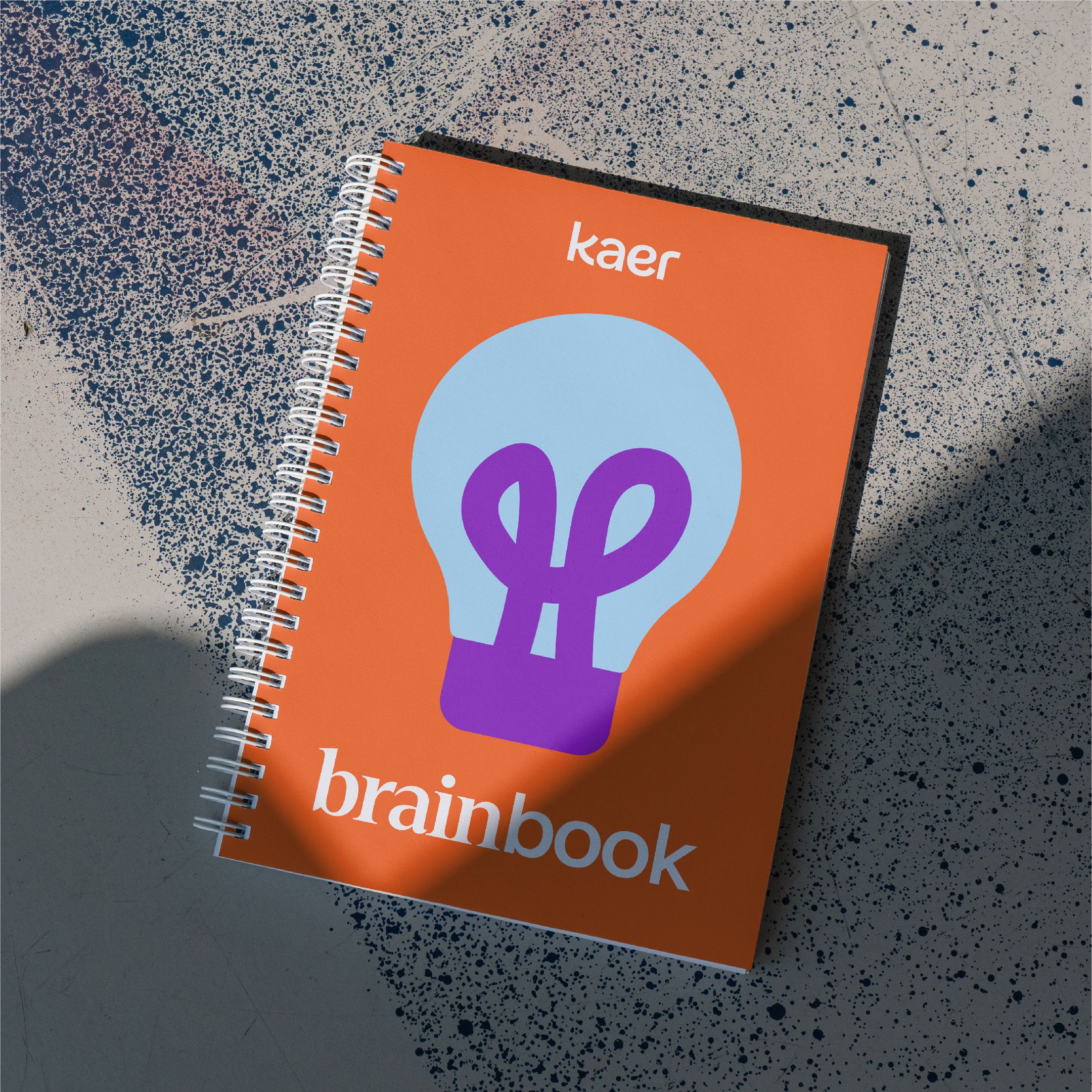 kaer book