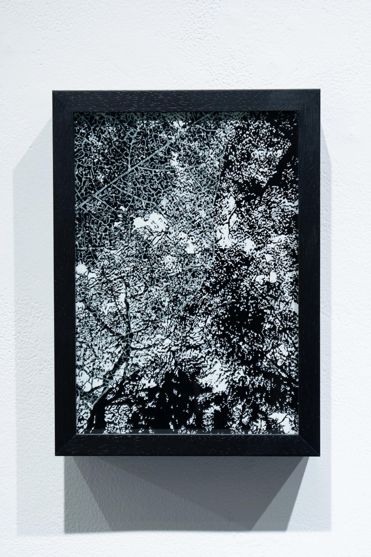 もぬけの城 gallery 5