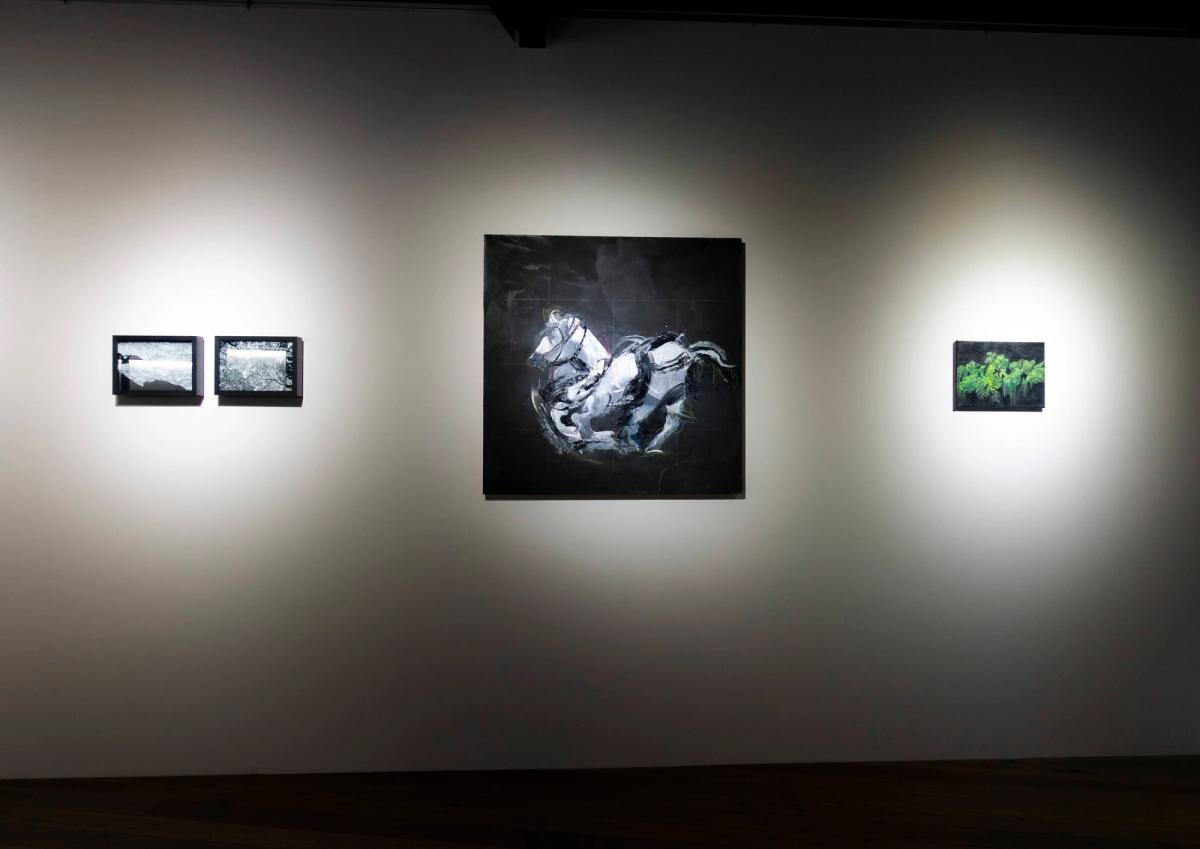 砂と泉 gallery 6