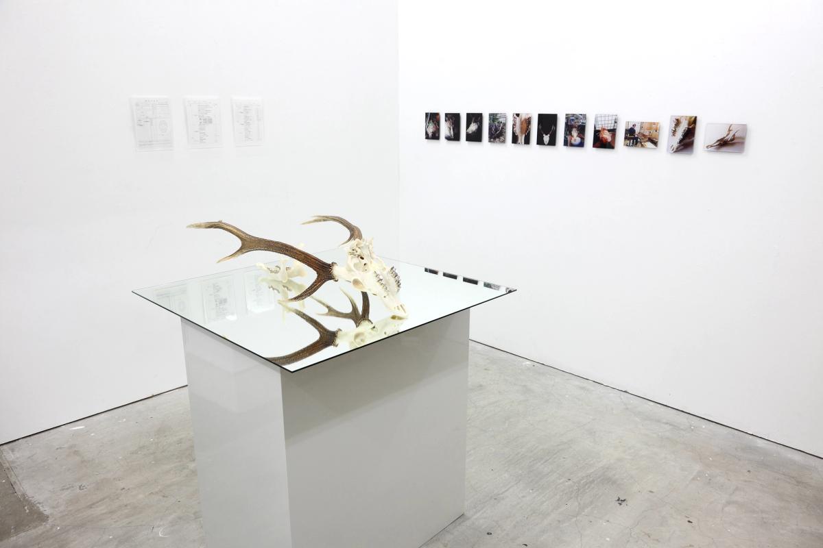 鹿を歯医者に連れていく gallery 9