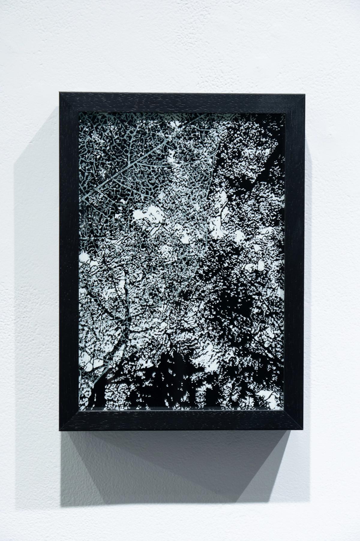 Empty Color gallery 1