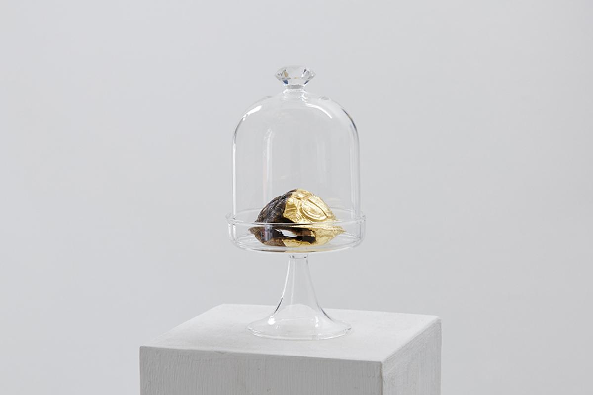 "Material Witness"  gallery 5