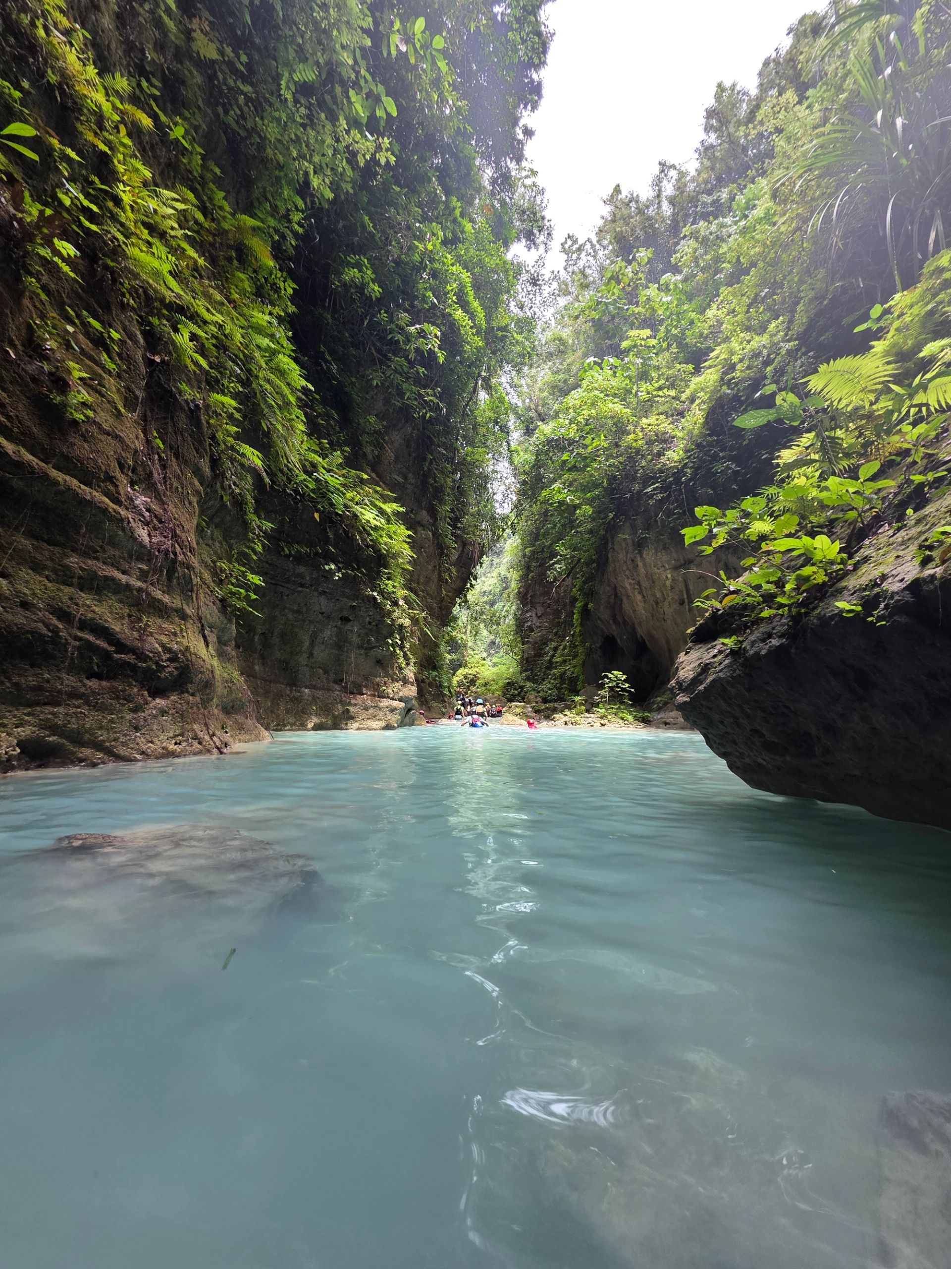 Kawasan Falls Canyoneering photo 6