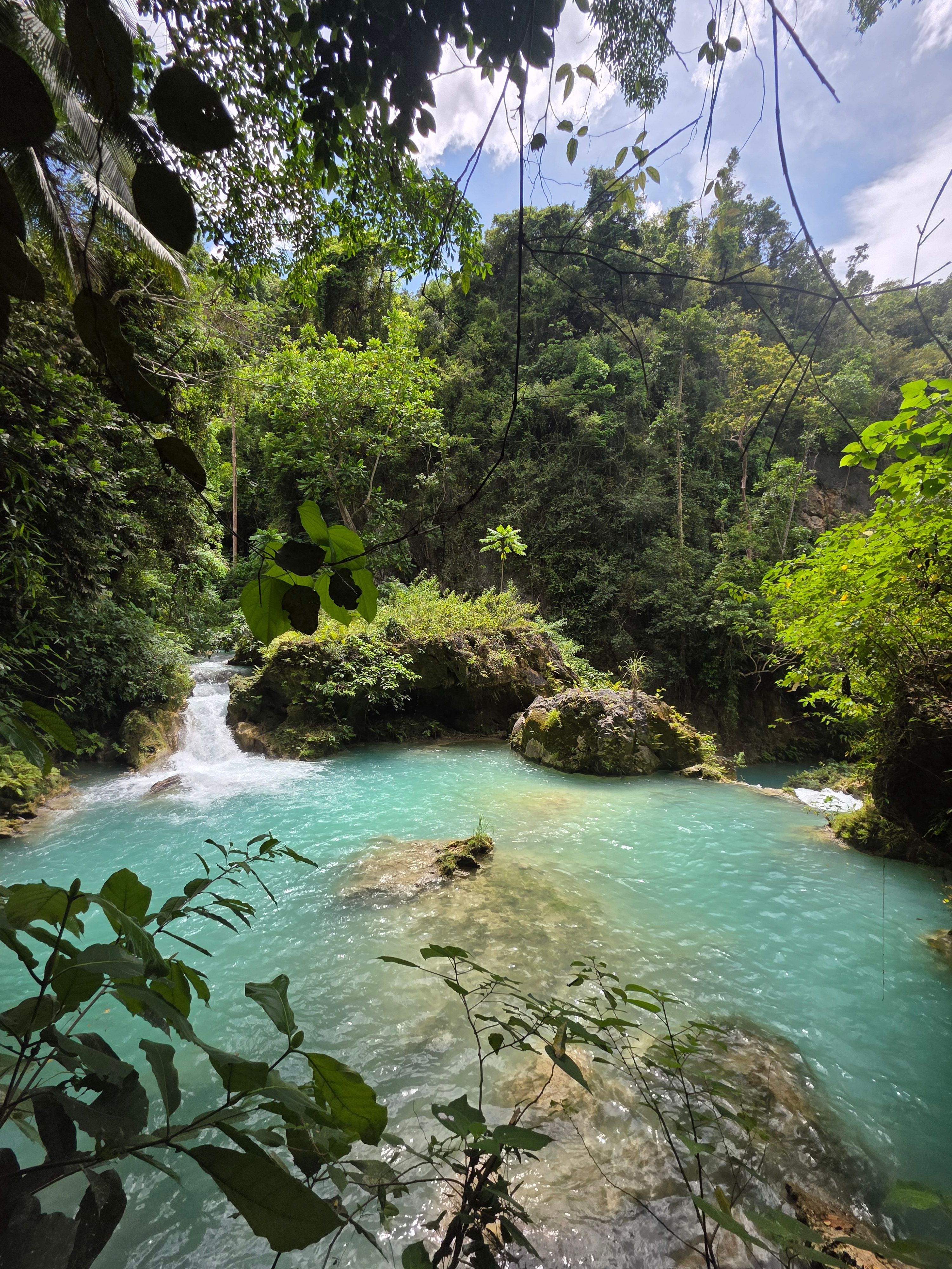 Kawasan Falls Canyoneering photo 4