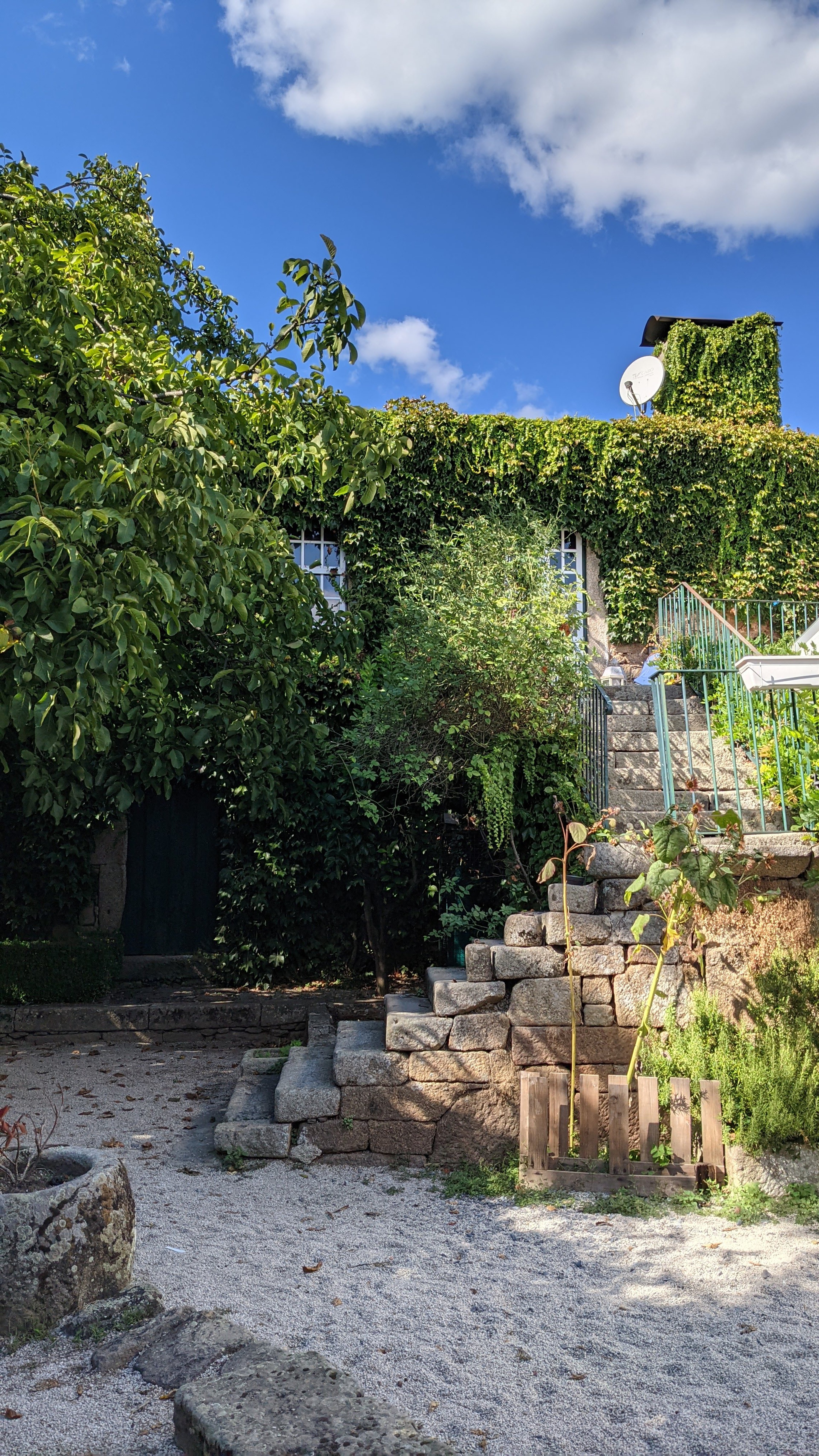 La vallée du Douro: bateau, vignoble et table familiale photo 4