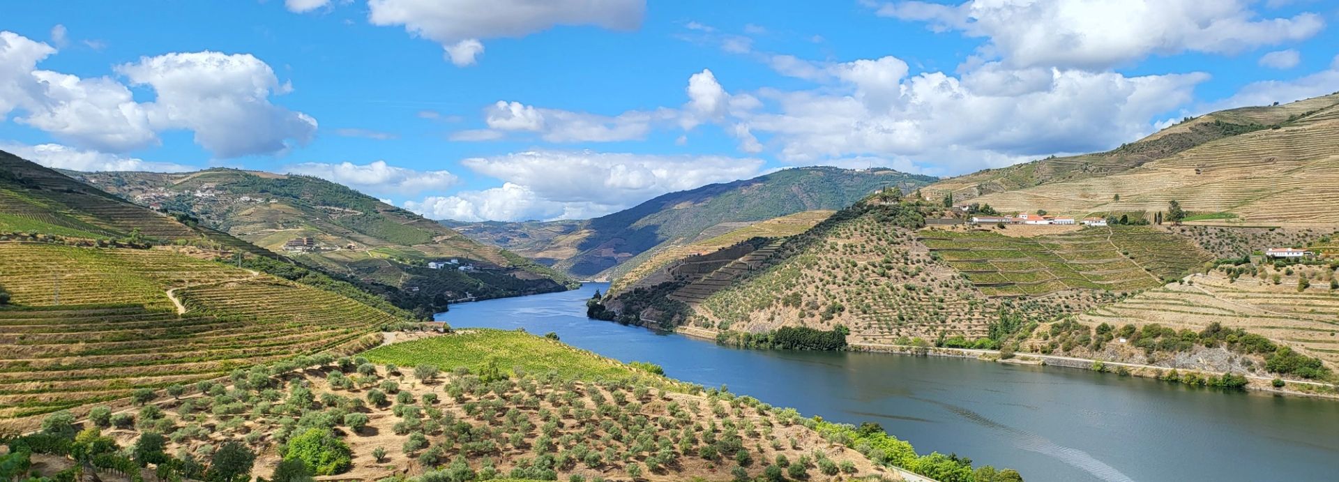 Douro Valley by Boat, Vineyard and Family Table