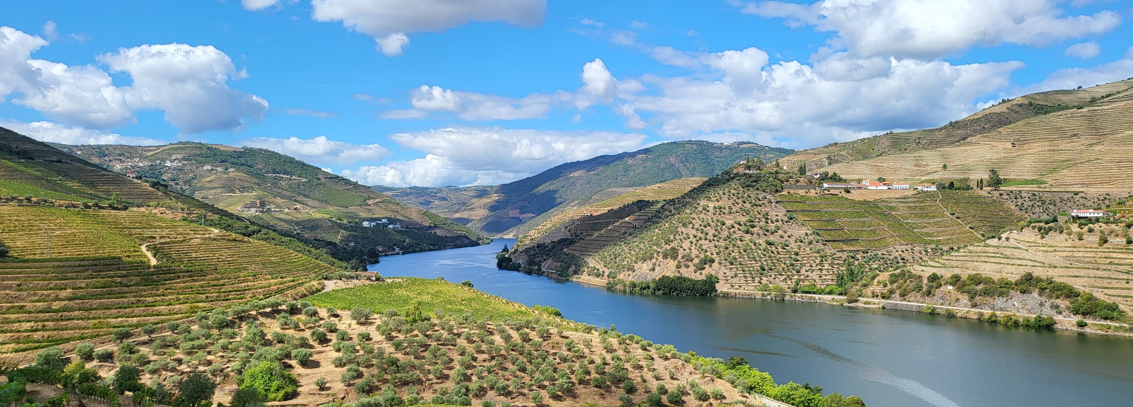 La vallée du Douro: bateau, vignoble et table familiale