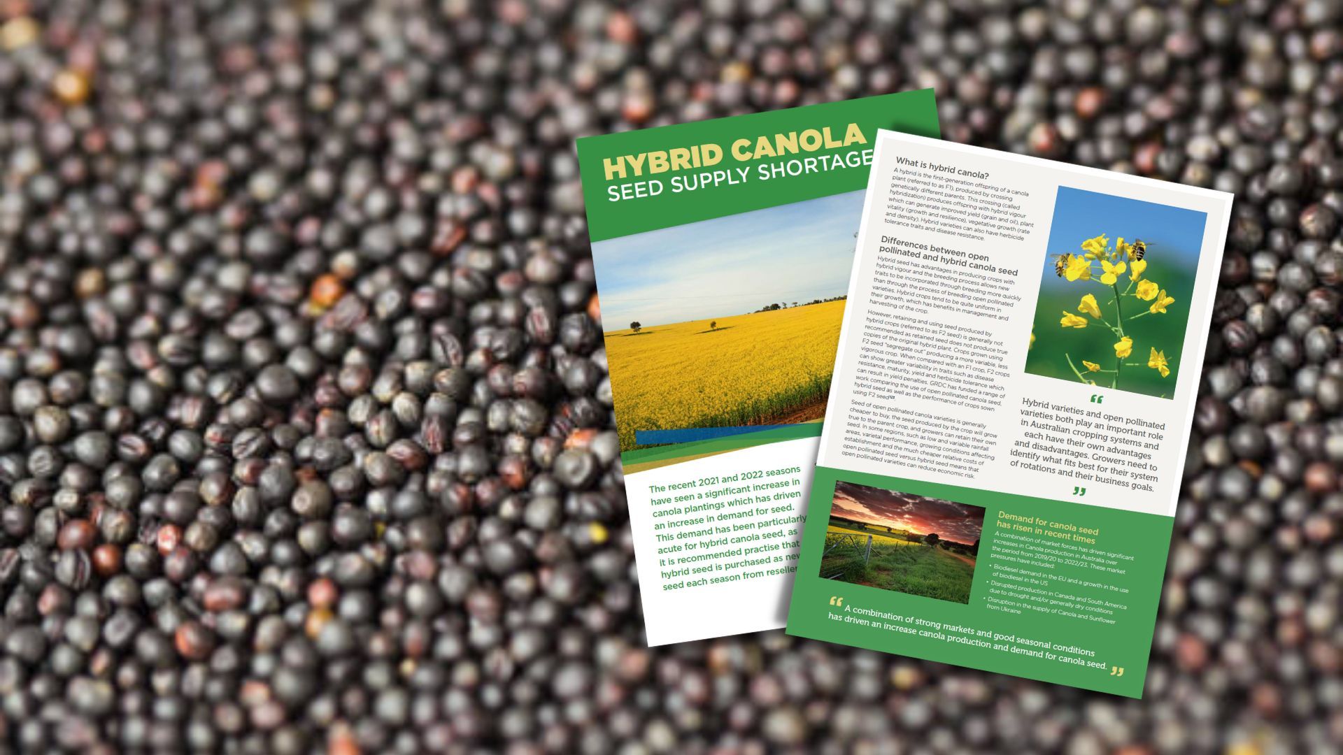 american cash advance hammond la