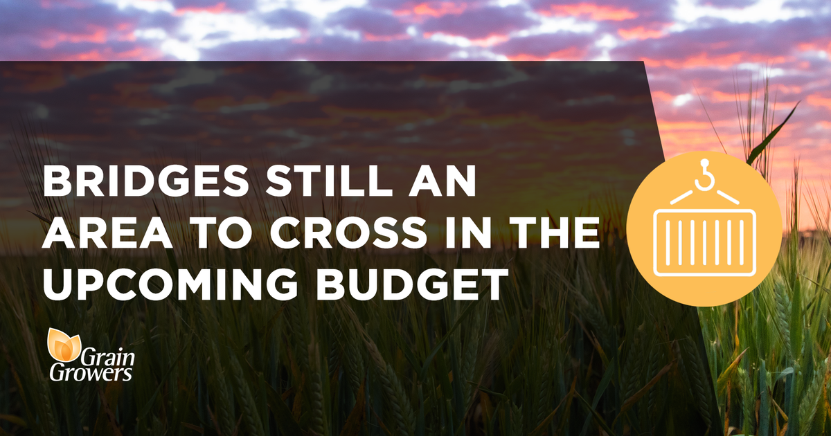 Budget Bridge Bridges still an area to cross in the upcoming budget | Building a more ...