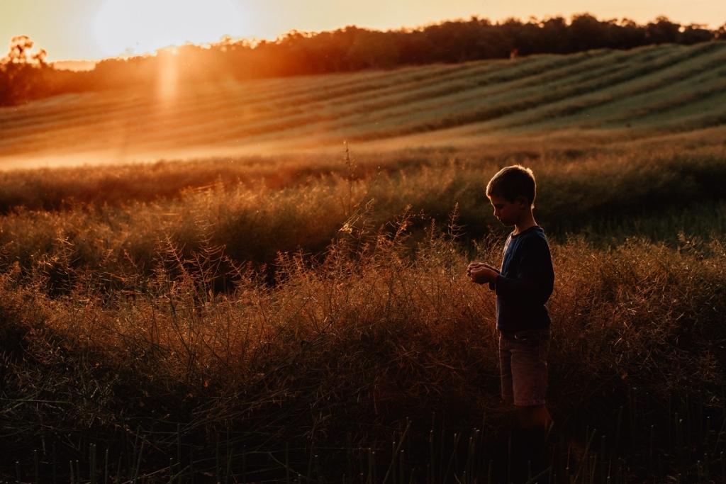 Response to the ag, land and emissions discussion paper Building a