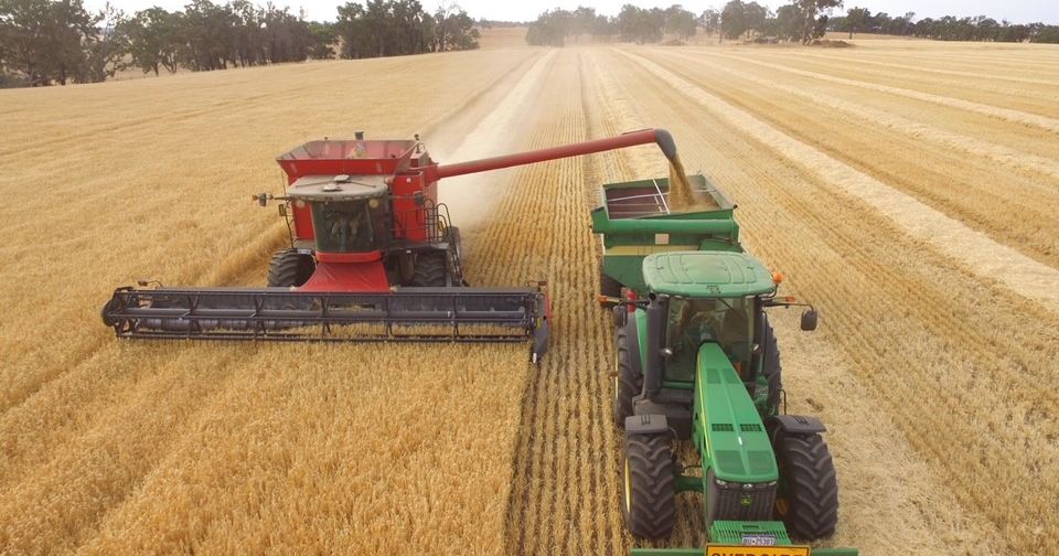 Record Wheat Harvest in Australia News | The national voice for Australian grain farmers.
