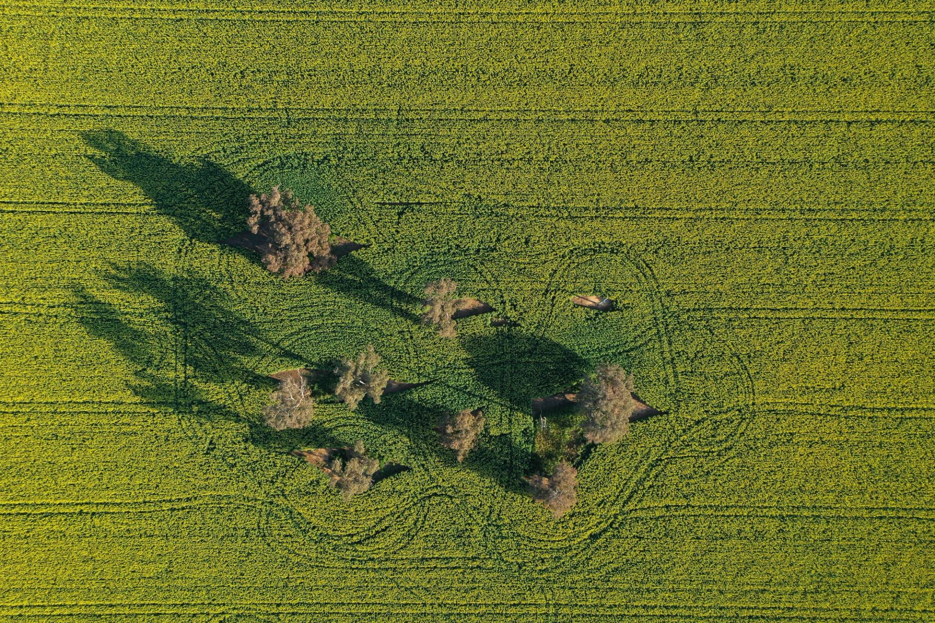 agricultural-land-use-policy-building-a-more-profitable-and