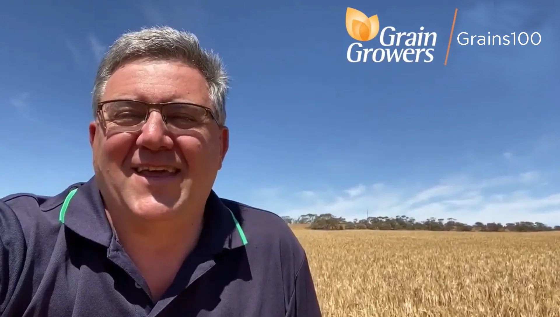 Grains100 | Building a more profitable and sustainable industry for ...