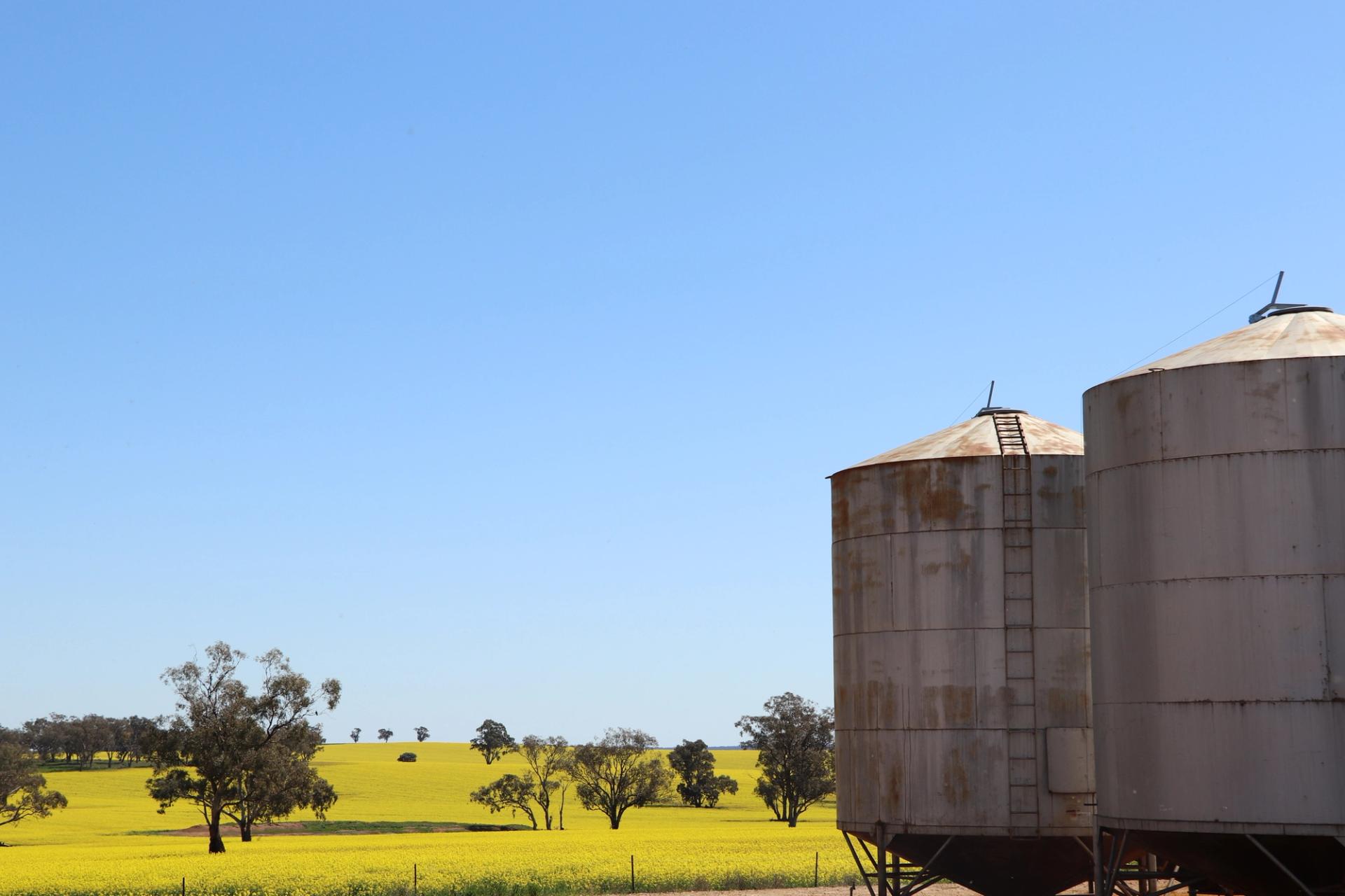Safe storage on farm Building a more profitable and sustainable