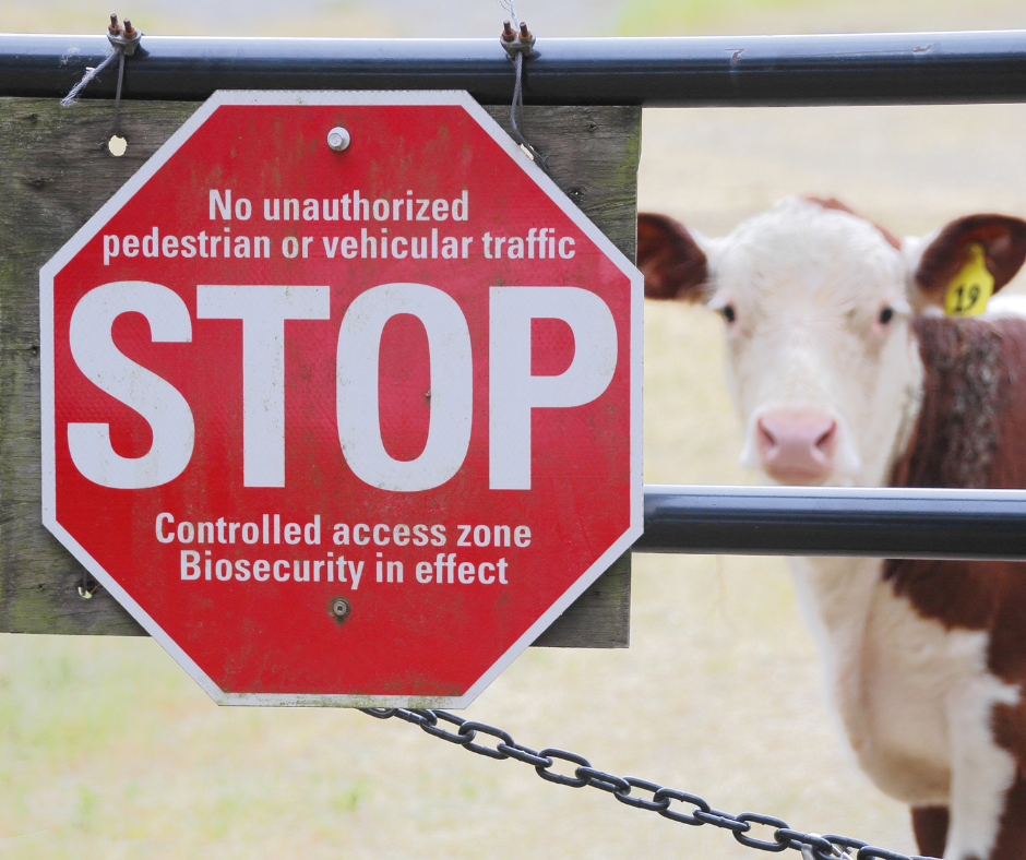 Protect Your Agribusiness With Everyday Biosecurity Practices ...