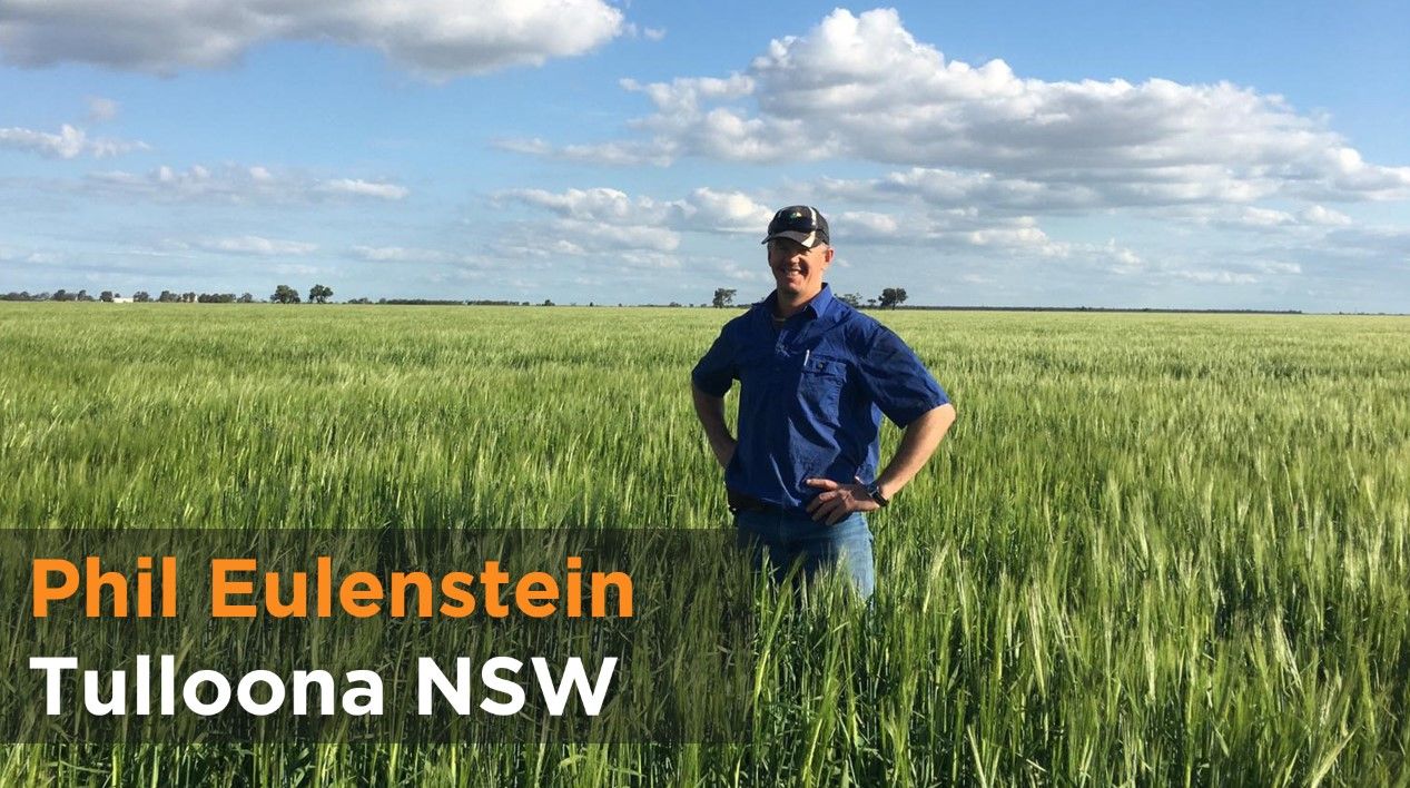 Paddock Perspectives | Phil & Michelle Eulenstein - Tulloona NSW ...