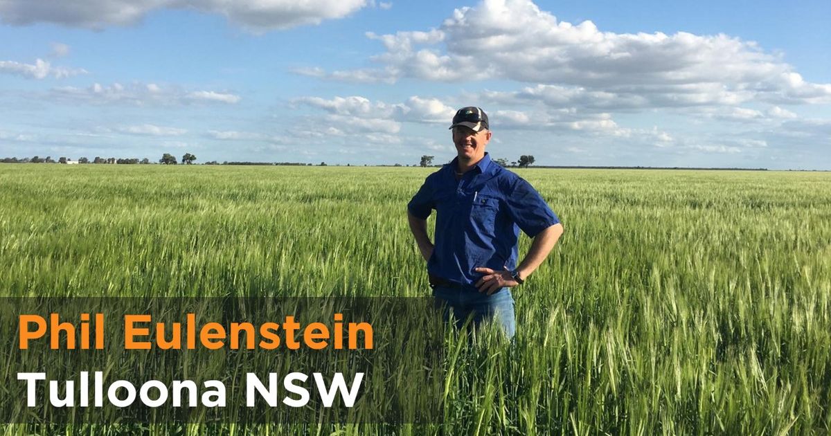 Phil Paddock Paddock Perspectives | Phil & Michelle Eulenstein - Tulloona NSW ...