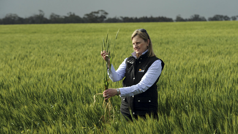 OnBoard | A grower director program | Building a more profitable and ...