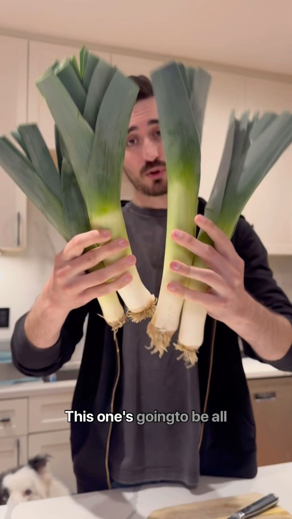 Insane leeks and beef combo