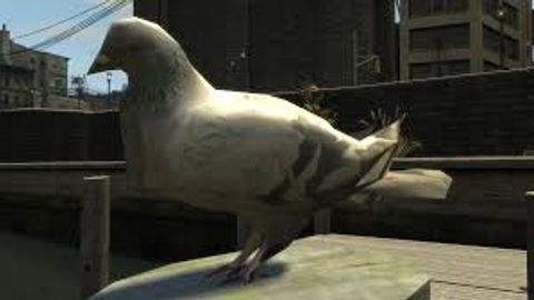 GTA 4 seagulls