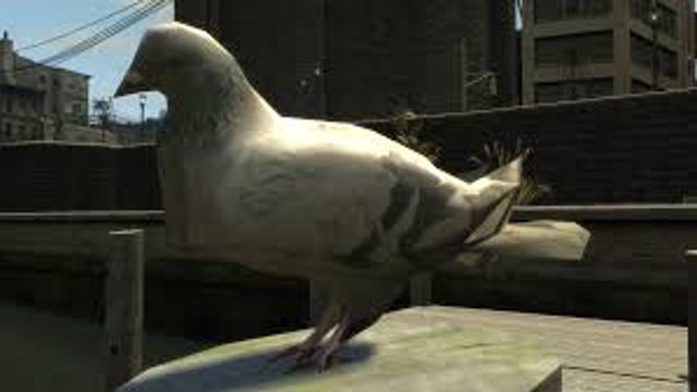 GTA 4 seagulls