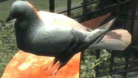 GTA 4 pigeons