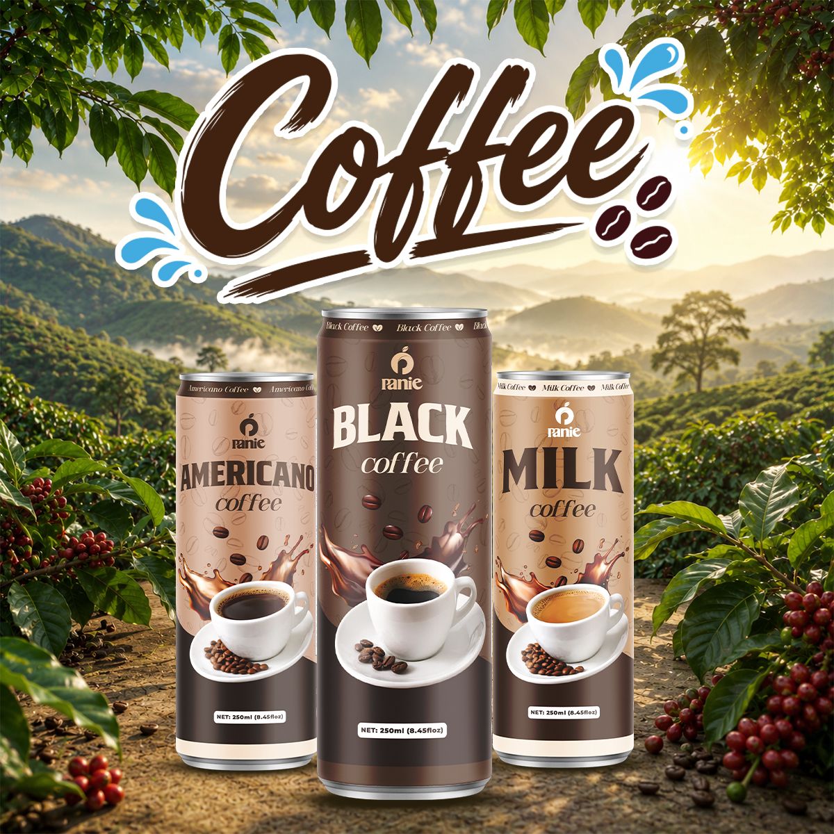 Panie - Cà phê – 250ml lon slim