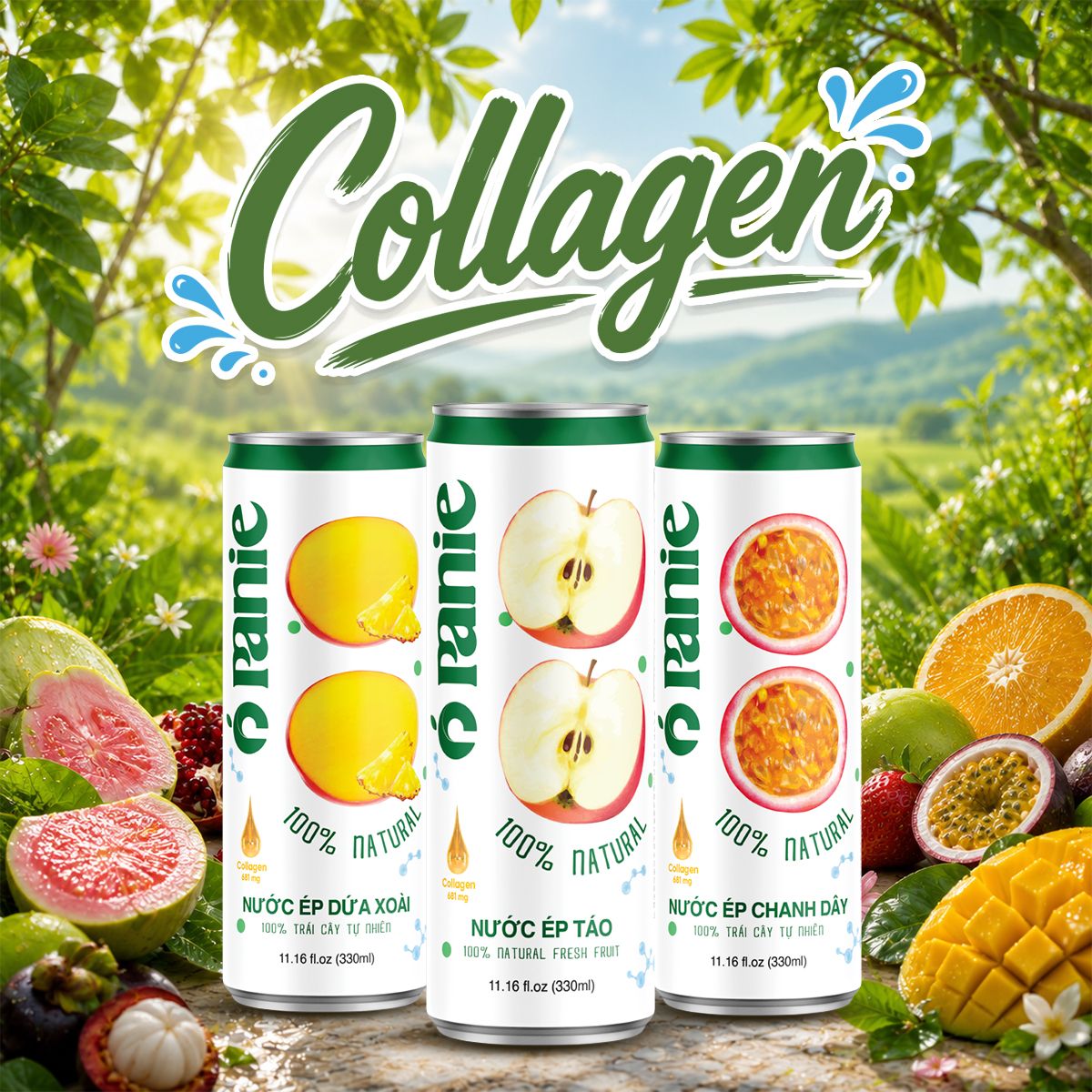 Panie - Collagen 100% tự nhiên – 250ml lon slim