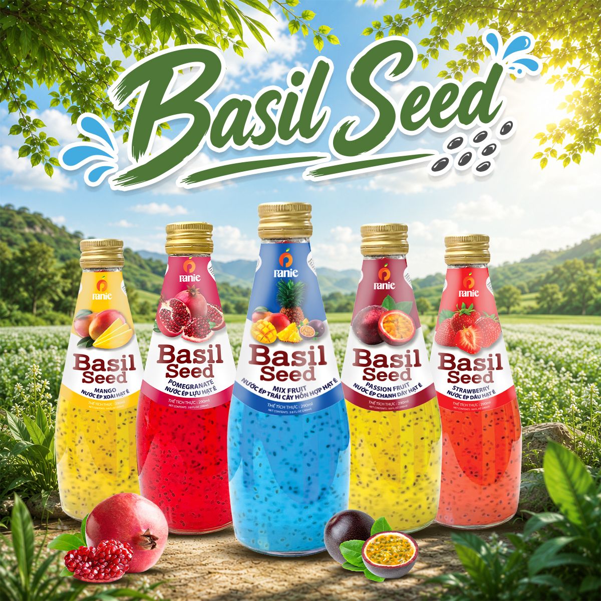 Panie - Hạt é – 290ml chai thủy tinh